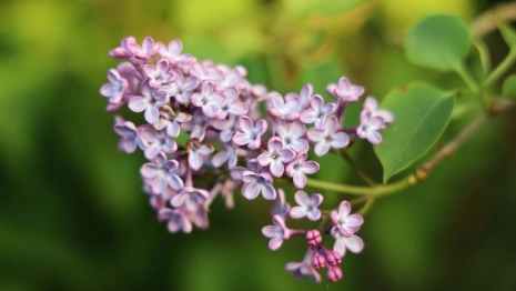 Прогноз погоды во Владимирской области на 5 мая 2025 года