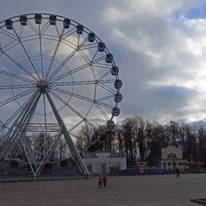 Вырубку деревьев в Центральном парке оценили в 2,5 млн рублей