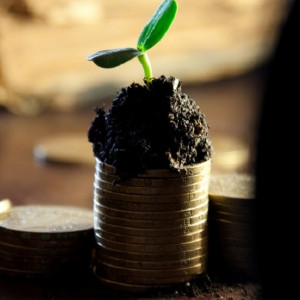 В России решили увеличить МРОТ на 18,5%