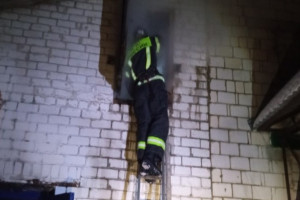 Во Владимирской области загорелся грибной цех