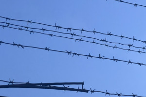 Уроженца Марокко на 3 года отправили в колонию за обман подруги жены на 2,2 млн рублей