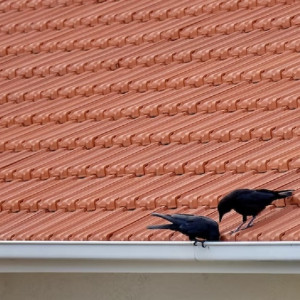 В Александрове отремонтируют крышу Торговых рядов 18 века 