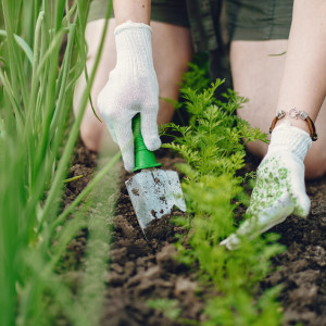 Конон Огородник: что можно и нельзя делать 18 марта