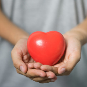 Больницы Мурома и Коврова получили разрешения на проведение медреабилитации