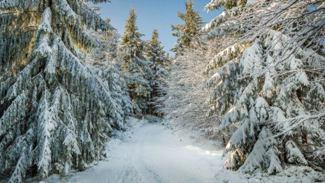 Прогноз погоды во Владимире и области на 5 февраля
