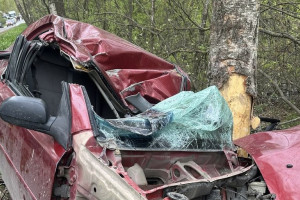 В Собинском районе человека зажало в улетевшей в кювет машине