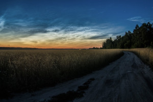 Жителям Владимирской области удалось увидеть серебристые облака