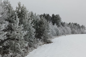Волонтеры прекратили поиски 61-летней жительницы Мурома в красной куртке