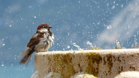 Денис Позимний: что можно и нельзя делать 16 октября