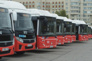 Во Владимирской области закупят 252 автобуса и 79 троллейбусов