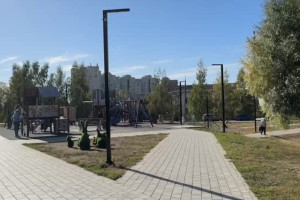 В сквере на Сперанского во Владимире появятся 9 бетонных арт-объектов для высадки деревьев