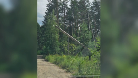 На турбазе «Ладога» во Владимире упал электрический столб