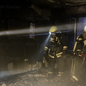 При пожаре во Владимире на Безыменского спасли 12 человек