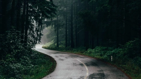 Владимирскую область накроет штормовая «Зельда»