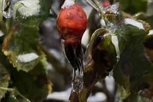 Во Владимире начался ледяной дождь