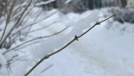 Прогноз погоды во Владимирской области на 16 ноября 2025 года