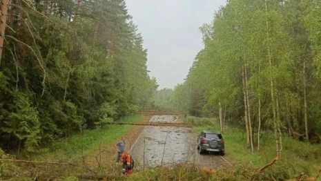 Больше всего от ливня и урагана пострадал Камешковский район