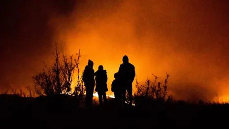 Владимирская область вошла в топ-5 регионов по скорости борьбы с лесными пожарами