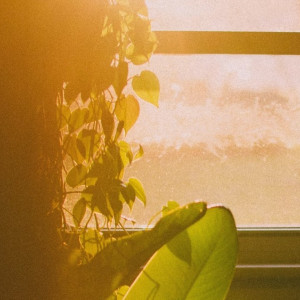 Во Владимирской области пропавшего 6 месяцев назад сельчанина нашли живым