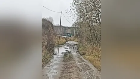 Жители Карабаново пожаловались на разбитую дорогу
