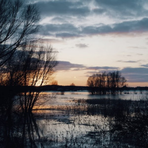 Жители поселка во Владимирской области обвинили трассу М-12 в затоплении домов