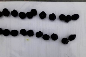 Во Владимирской области задержали доставщика еды-закладчика наркотиков