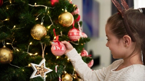 Во Владимирской области открыли прием заявок на акцию «Елка желаний»