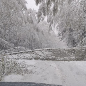 Самый мощный за 116 лет московский снегопад обрушился на запад Владимирской области