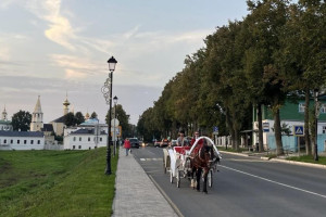 В Суздале гужевым повозкам запретили парковаться у детских учреждений и Успенского храма