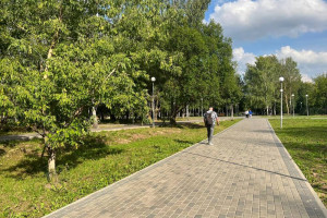 Во Владимирской области первые выходные сентября закончатся 26-градусным теплом