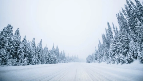 Во Владимире спасатели предупредили о сильном снеге и гололеде