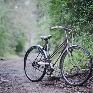 Во Владимирской области нашли живым пропавшего на сером велосипеде дедушку