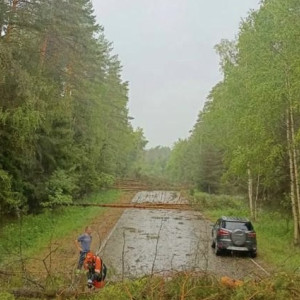 Больше всего от ливня и урагана пострадал Камешковский район