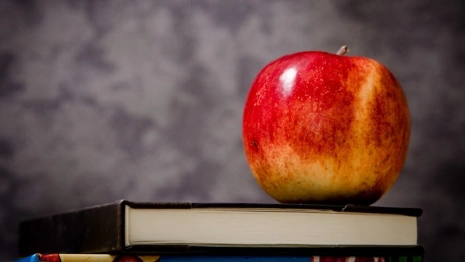 Во Владимирских школах появятся советники по воспитательной работе