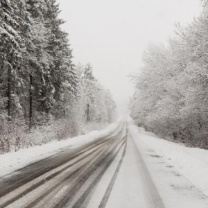 МЧС предупредило владимирцев о метели и урагане 20 февраля