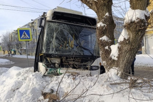 В Муроме автобус влетел в дерево: пострадали 7 человек