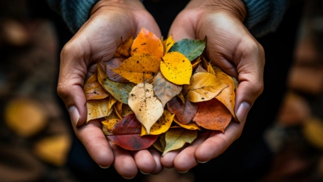 Прогноз погоды во Владимирской области на 14 сентября