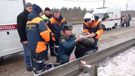 Владимирские спасатели рассказали о помощи пострадавшим в ДТП с автобусом  
