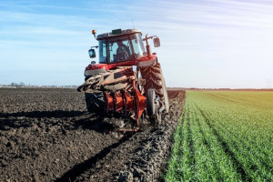 Во Владимирской области сельским специалистам заплатят до 250 тыс. рублей