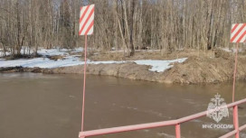 Весеннее половодье во Владимирской области началось с Александровского района