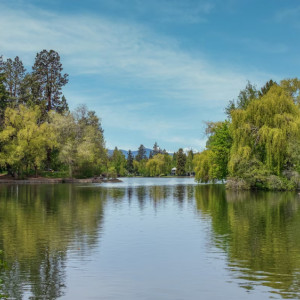 В Судогодском районе водолазы попросили помощи в поисках 51-летнего мужчины