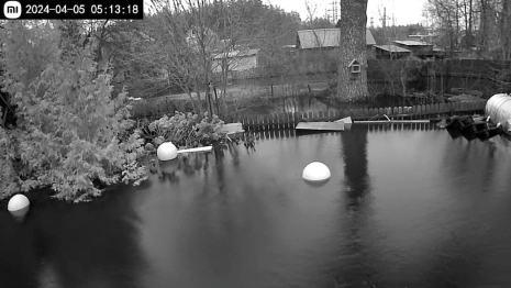 Затопленные СНТ в Покрове показали на фото и видео