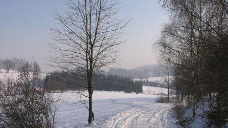 Маткапитал, общественный транспорт, гостайна. Что изменится для владимирцев в феврале-2024 