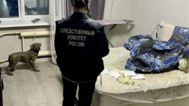 В Гусь-Хрустальном присяжные признали виновным в убийстве местного жителя