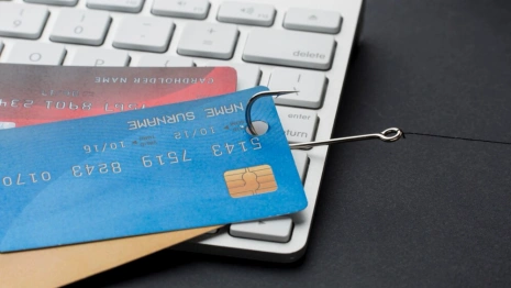 Во Владимирской области жители за неделю перевели более 23 млн рублей IT-мошенникам