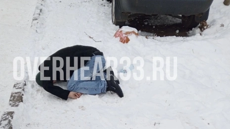 Во Владимире мужчина со шприцем в руках упал у детского сада