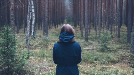 Во Владимирской области с начала года потерялись 15 детей