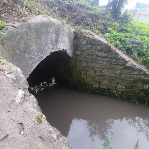 Владимирский водоканал проверит реку Лыбедь после жалоб жителей на вонь