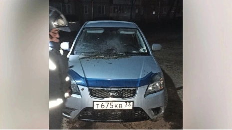 Во Владимирской области сгорела иномарка 