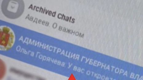 Мошенники начали добавлять жителей Владимирской области в фейковый чат правительства